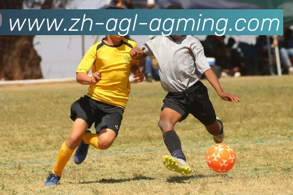 AG娱乐登录品牌故事